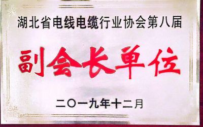湖北省电线电缆行业协会第八届副会长单位