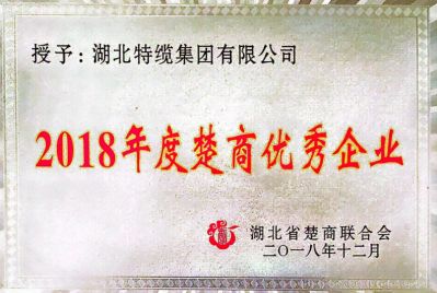 2018年度楚商优秀企业