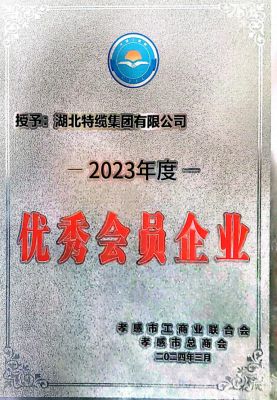优秀会员企业