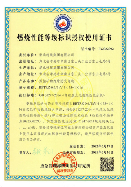 阻燃标志证书BBTRZ